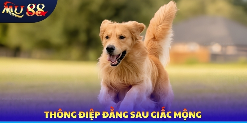 Thông điệp đằng sau giấc mộng