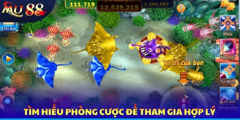 Tìm hiểu phòng cược để tham gia hợp lý